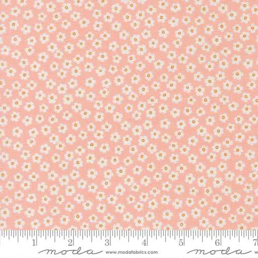 True to Hue Blush fabric 11566 18