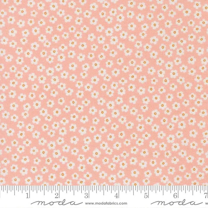 True to Hue Blush fabric 11566 18