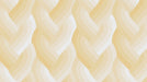 Echo Braid Ivory fabric 42380 12