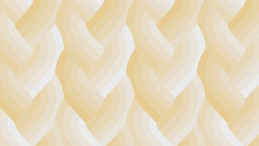 Echo Braid Ivory fabric 42380 12