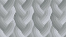 Echo Braid Grey fabric 42380 13