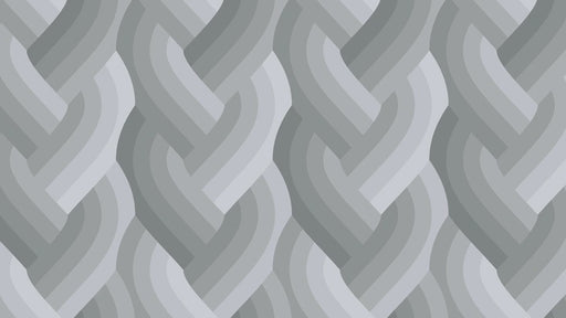 Echo Braid Grey fabric 42380 13