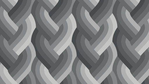 Echo Braid Black fabric 42380 14