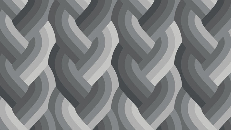 Echo Braid Black fabric 42380 14