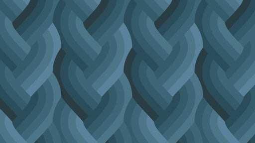 Echo Braid Navy fabric 42380 18