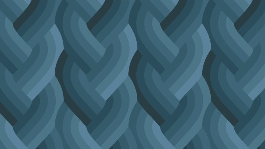 Echo Braid Navy fabric 42380 18
