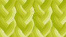 Echo Braid Acid Green fabric 42380 23