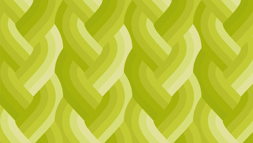 Echo Braid Acid Green fabric 42380 23