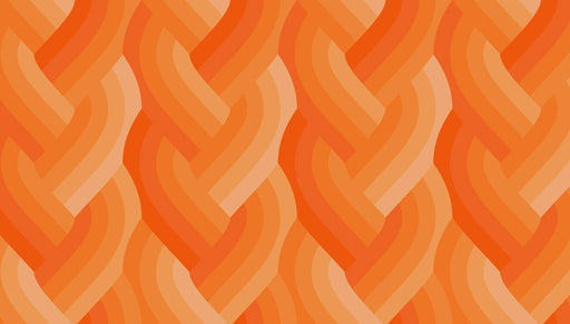 Echo Braid Orange fabric 42380 31