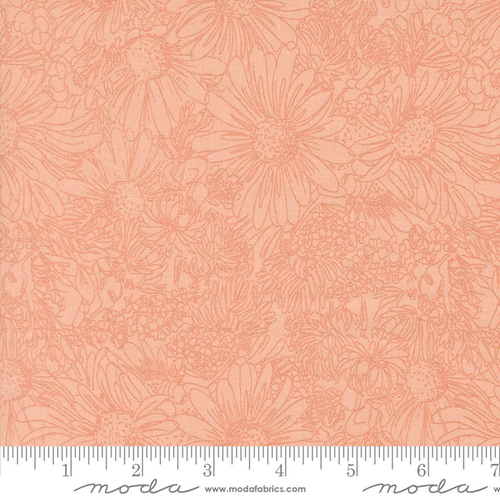 Ladybug Whimsy Pen Ink Pretty Pink fabric 48444 15
