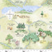 Classic Winnie Minky light green map fabric
