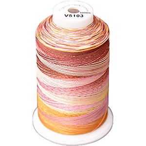 Exquisite Medley Variegated Thread - Flamingo 5000M V5103