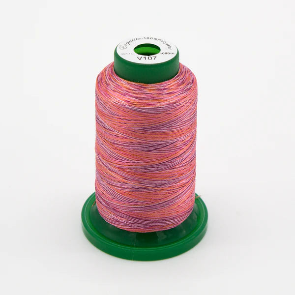 Exquisite Medley Variegated Thread - Summer Berries 1000M V107