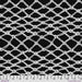 Kaffe Fassett Collective February 2026 Nets Black White fabric