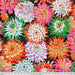 Kaffe Fassett Collective February 2026 Cactus Dahlia Contrast fabric
