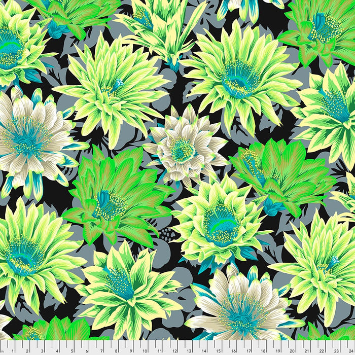 Cactus Flower Contrast fabric | Kaffe Collective Classics