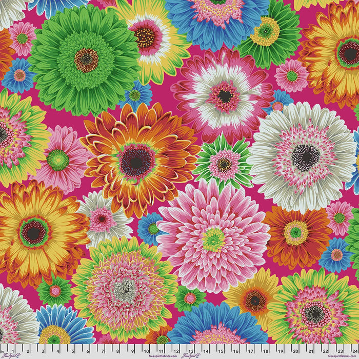 Gerbera Daisies Bright | Kaffe Collective Aug 2026