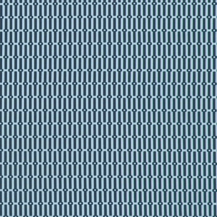 Drift Into Blue Chambray fabric - RSDD-24049-407 CHAMBRAY
