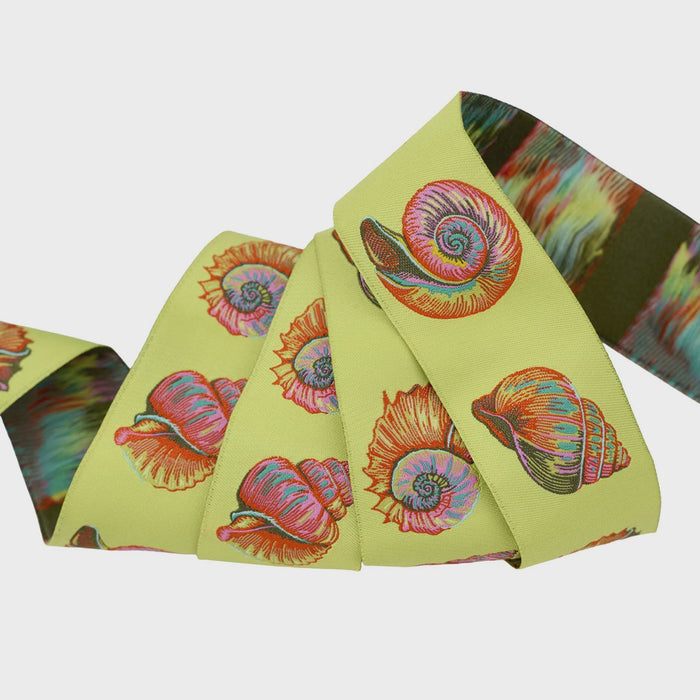 Lil Shelly in Seagrass - 1-1/2" Ribbon