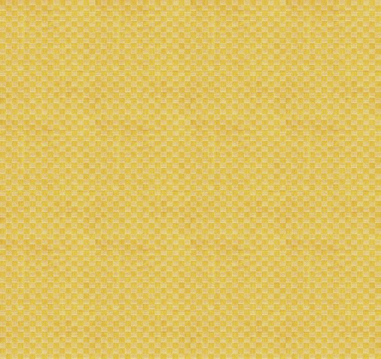 Check Mates by Anna Maria Gameboard Sunset fabric