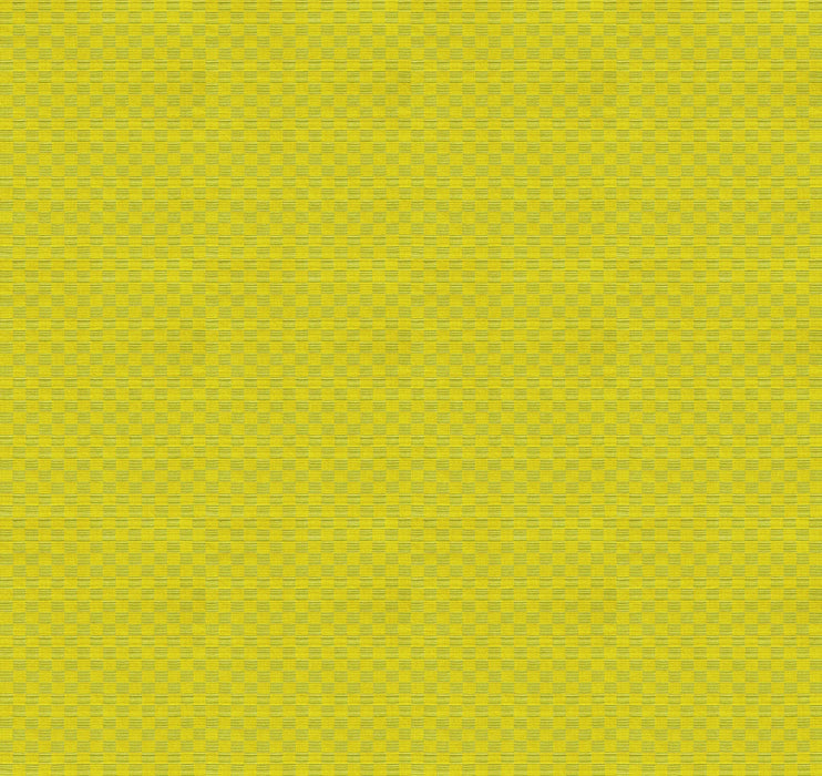 Check Mates by Anna Maria Gameboard Spring fabric