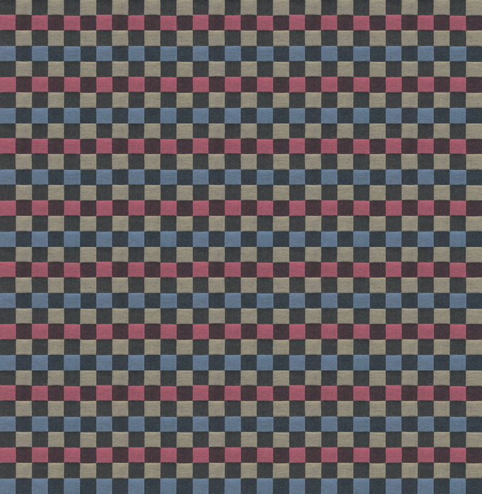 Check Mates by Anna Maria Alternate Racer fabric