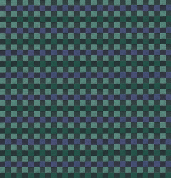 Check Mates by Anna Maria Alternate Wave fabric