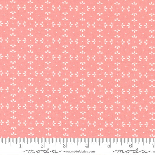 Favorite Things Blush 37655 22 fabric