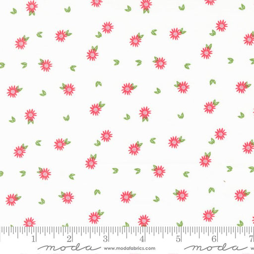 Favorite Things Snow 37654 11 fabric