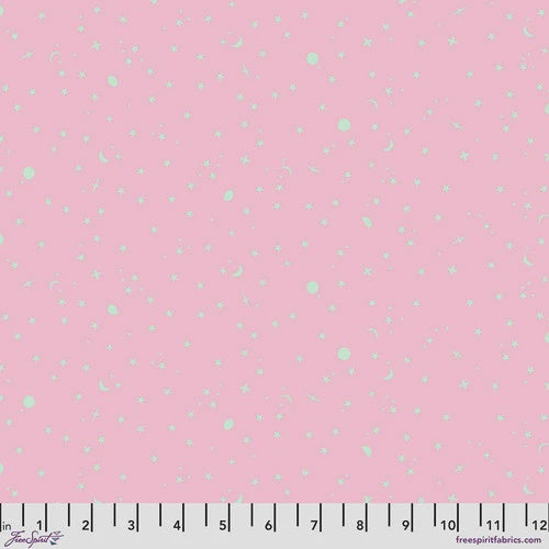 True Colors by Tula Pink - Space Sprinkles Piglet fabric
