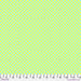 Untamed by Tula Pink fabric Check Please Moonbeam