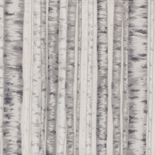 Berries and Birch X7795 483S Fog Silver fabric by Hoffman Fabrics