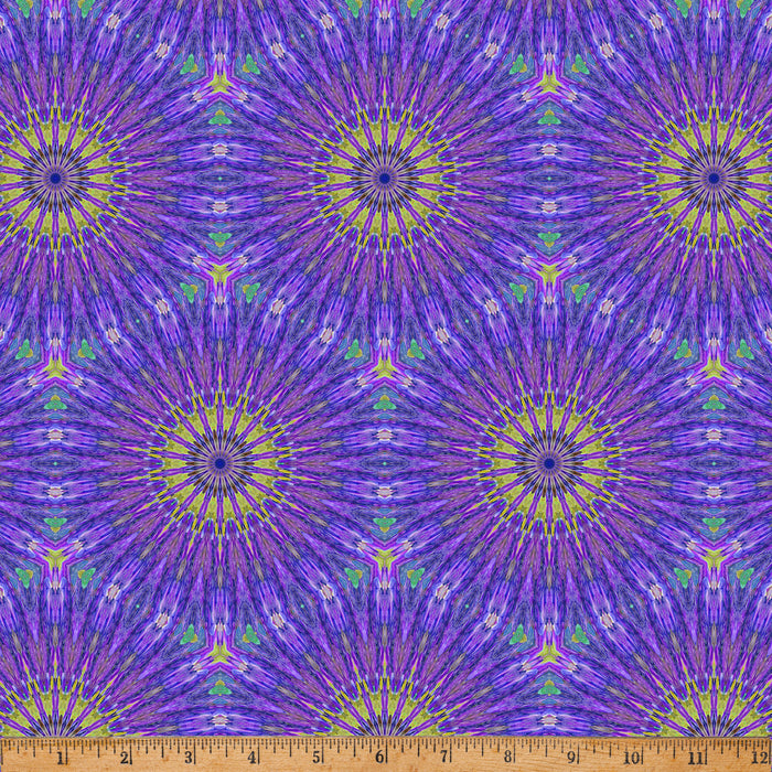 Hoffman Fabrics Bubblelicious Purple fabric X5624-14-PURPLE