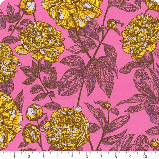 Housewarming Shocker quilting fabric from the Our Fair Home collection by Anna Maria Horner