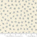 Longshore True North Flag quilting fabric by Janet Clare. 100% cotton fabric with a star and compass rose pattern on a natural background. Ideal for adventure-themed projects.