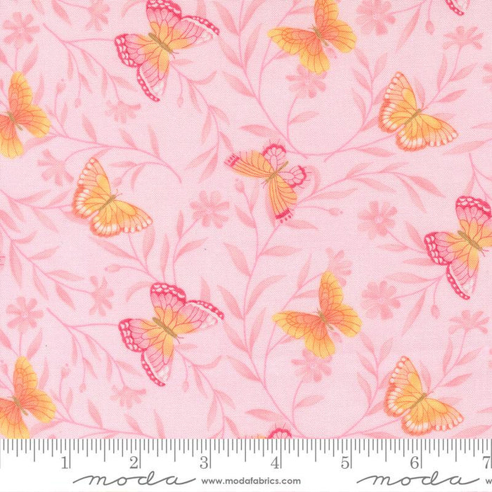 Kindness Blush fabric - 56151 15
