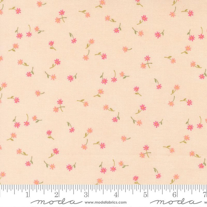 Kindness Peach fabric - 56154 12