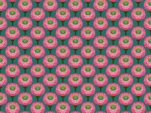 Iconic Bursting Strawflower Fabric - AMT123-28L