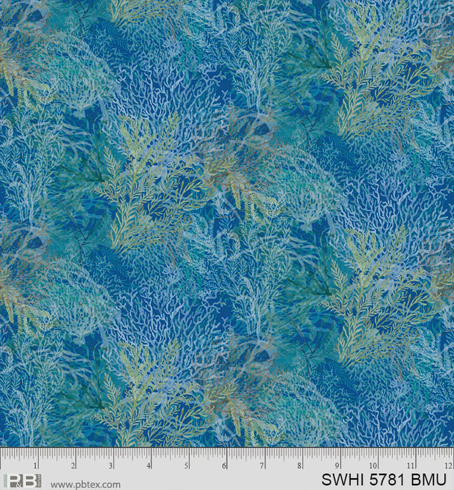Sea Whispers Packed Reef - SWHI05781BMU