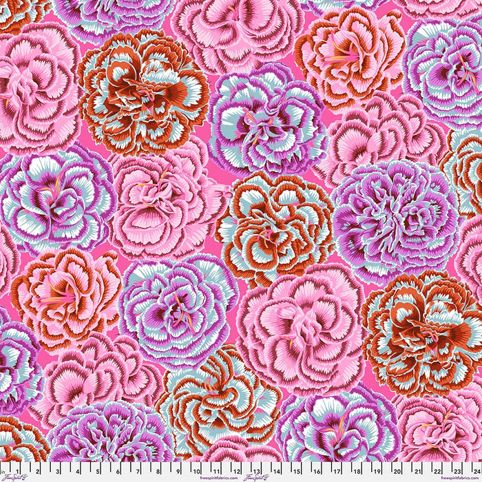 Picotee Carnations in Pink Kaffe Fassett Collective August 2025 fabric