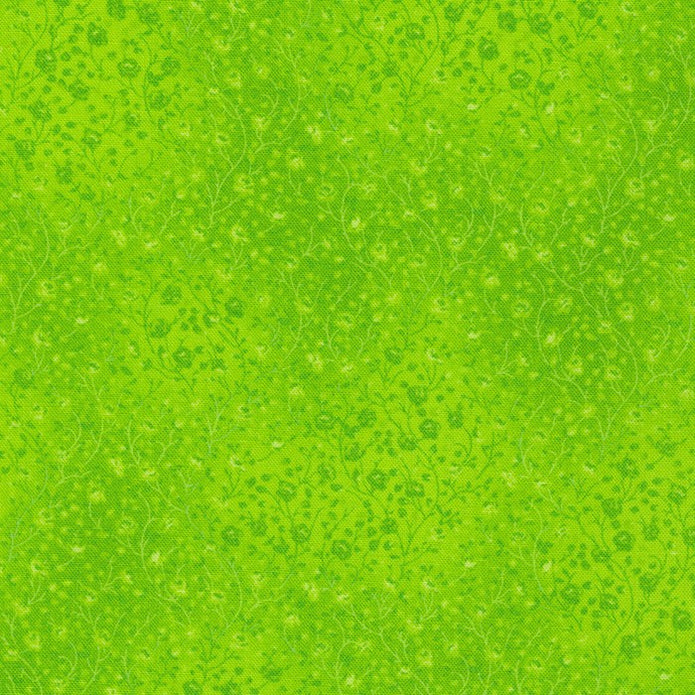 Robert Kaufman Fusions EY-4070-39 Lime fabric