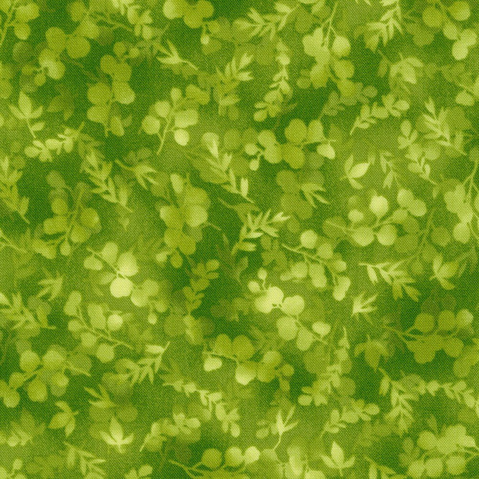 Robert Kaufman Fusions SRK-21320-58 Cactus fabric