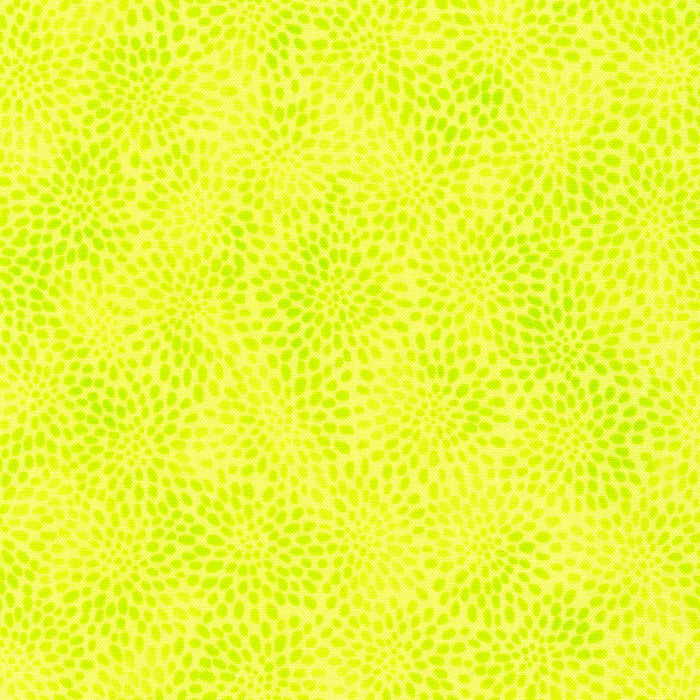 Robert Kaufman Fusions SRK-21321-134 Citrus fabric
