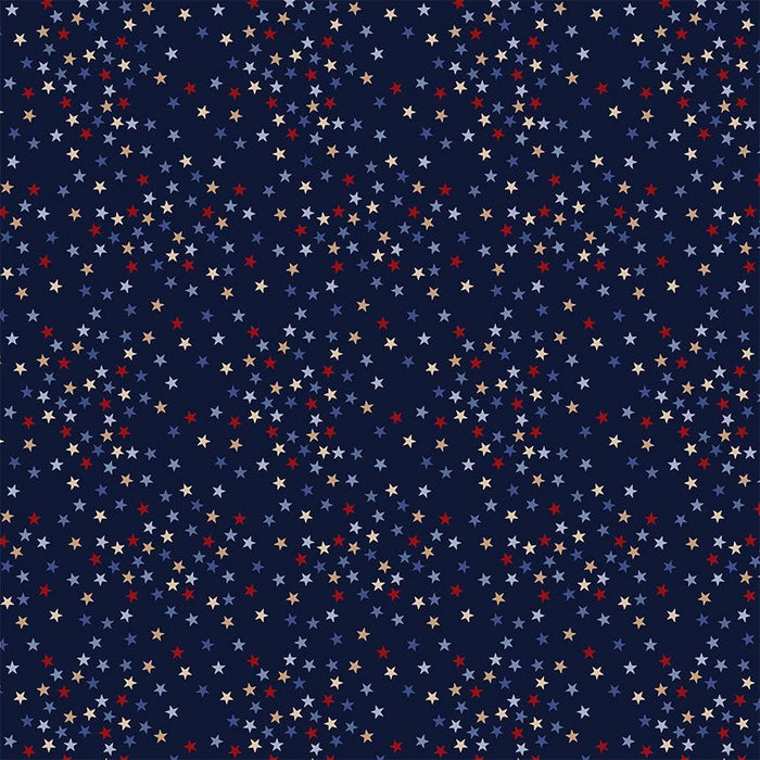 Path to Freedom Stars Admiral fabric