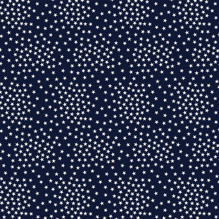 Path to Freedom Stars Navy fabric