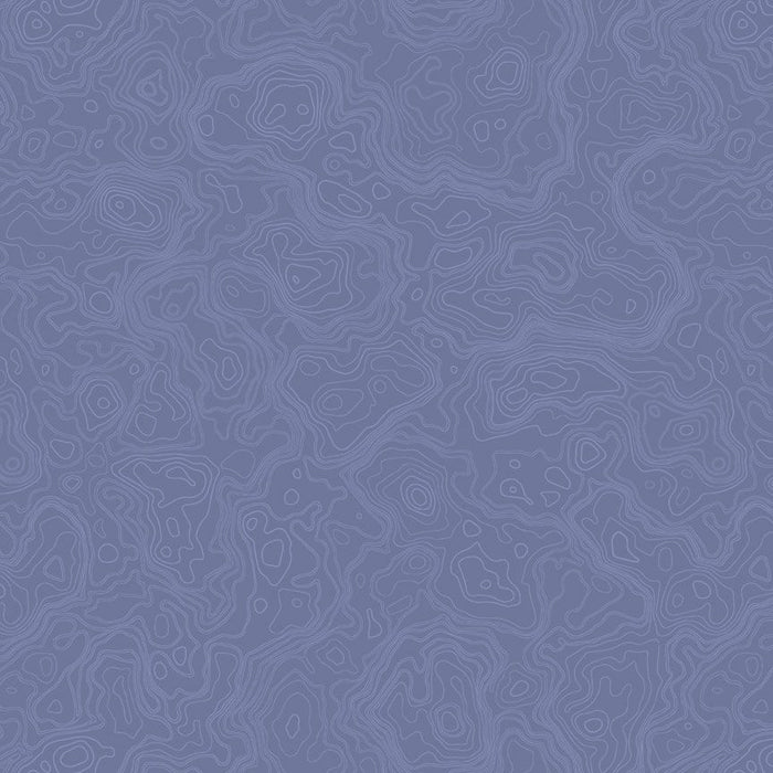 Path to Freedom Topography Map Denim fabric