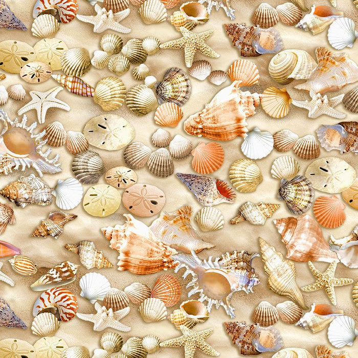 Beachcomber Shells fabric CD2534-Multi by Timeless Treasures