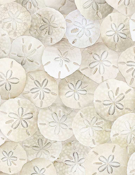 Packed Sand Dollars on Beach fabric C8461-Sand by Timeless Treasures