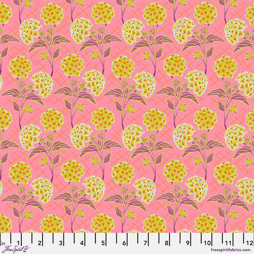 Trellis Peach quilting fabric from the Our Fair Home collection by Anna Maria Horner