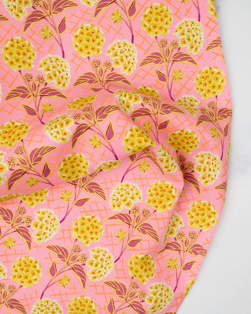 Trellis Peach quilting fabric from the Our Fair Home collection by Anna Maria Horner